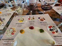 SIP & DISCOVER: A PRIVATE JOURNEY THROUGH SOUTH AFRICAN WINE, CULTURE, AND HISTORY