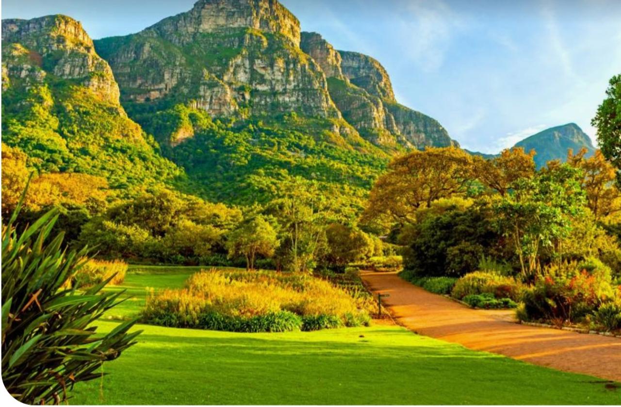 Table Mountain Kirstenbosch World of Birds and Diamond Factory