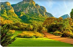 Table Mountain Kirstenbosch World of Birds and Diamond Factory