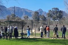 Table Mountain and Stellenbosch Big Cats Park from Cape Town 