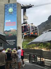 URBAN PEAKS AND VINEYARD TREATS: A DAY IN CAPE TOWN