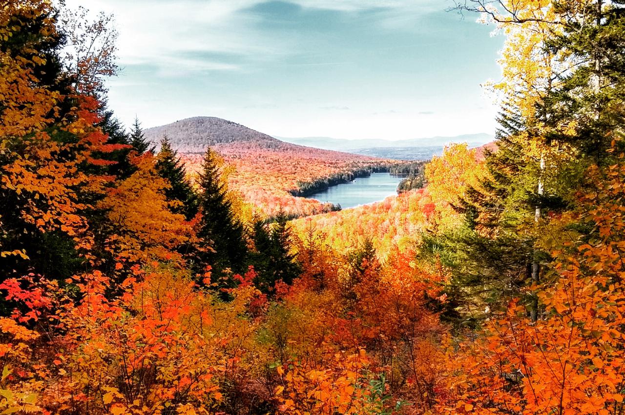 AMONG THE LEAVES - Fall Foliage Hiking Tour - 2.5 hour tour with campfire 