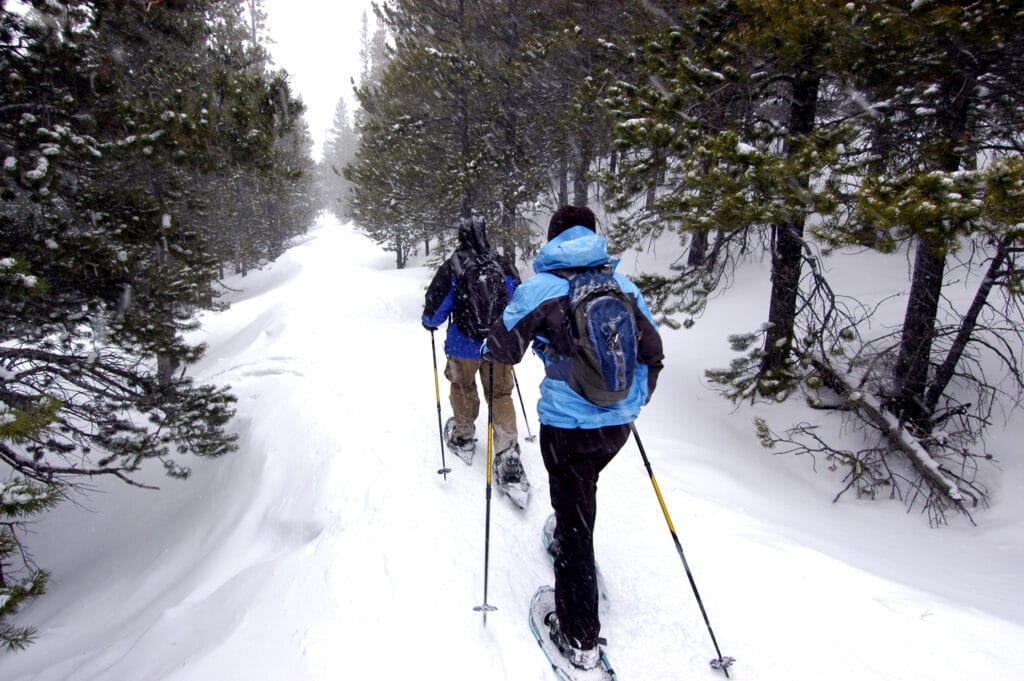 Guided Winter Wonderland Snowshoe Tour - 2.5 hour tour with campfire 