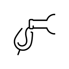 Cult Cabernets