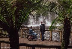 Mount Field & Russell Falls + Optional Bonorong & Salmon Ponds (Tour With Driver Guide)