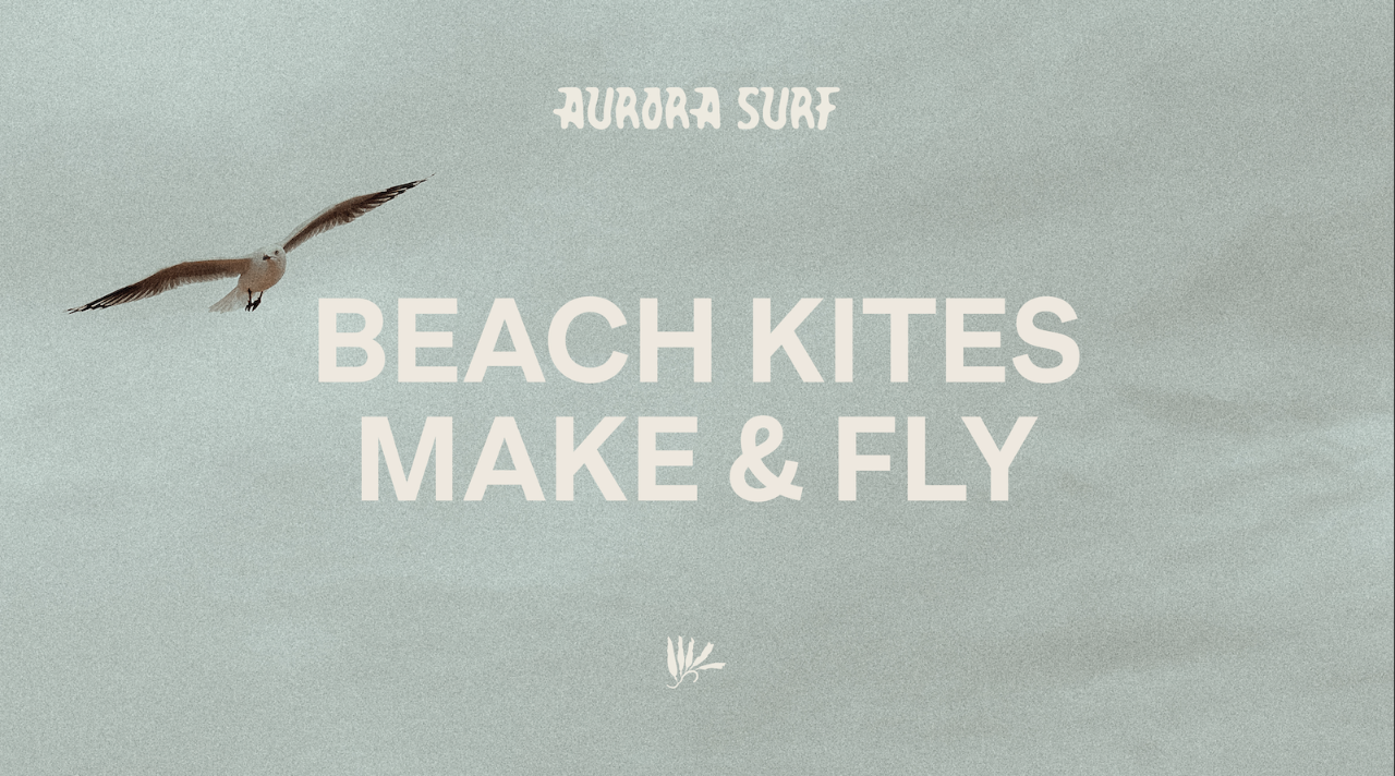 Beach Kites - make and fly (all ages)