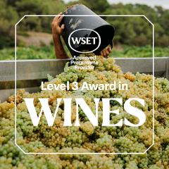 WSET Level 3 in Wines ONLINE - Vic 2026