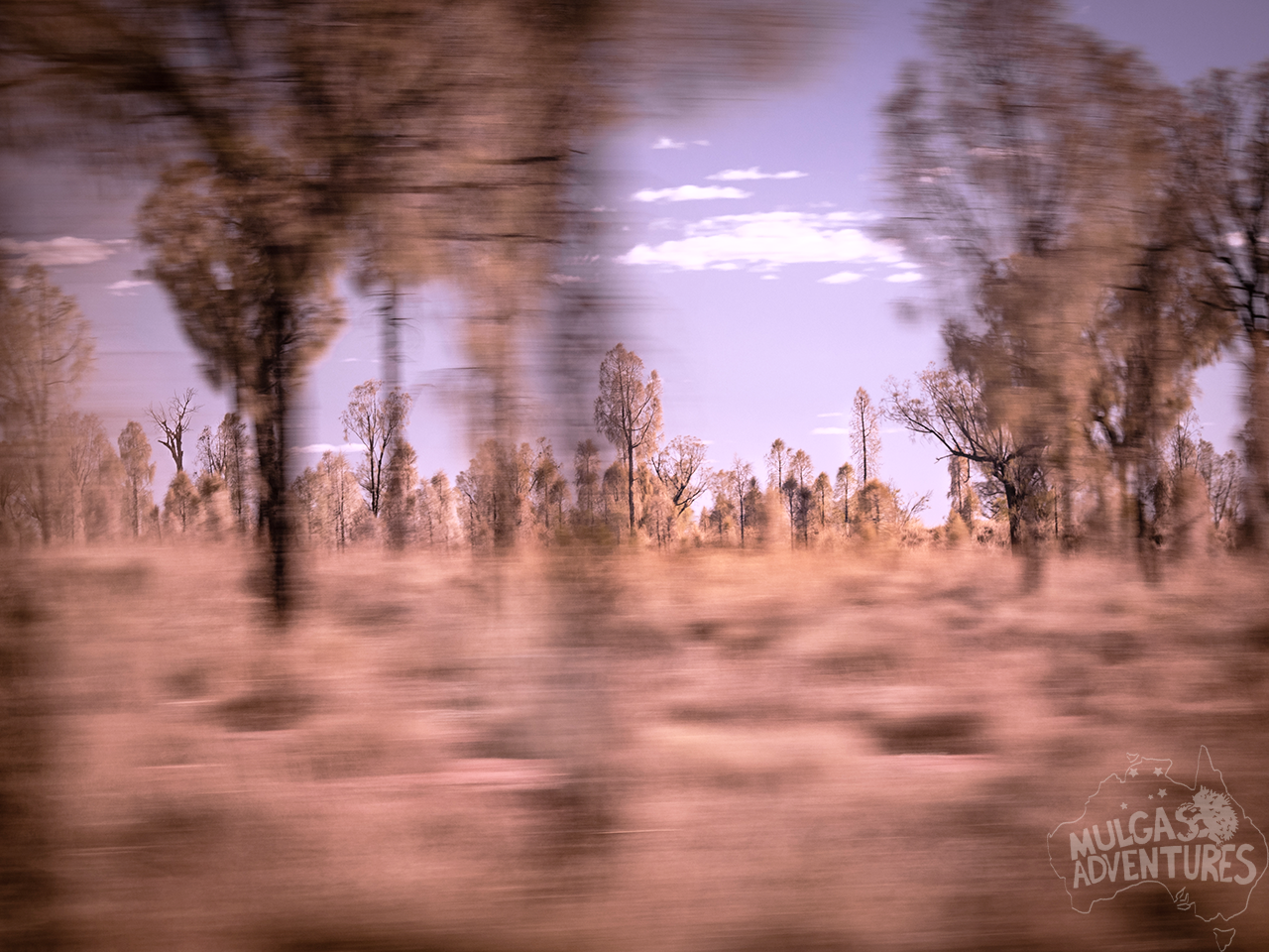 Uluru to Alice Springs Transfer