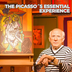 The Picasso´s Essential Experience