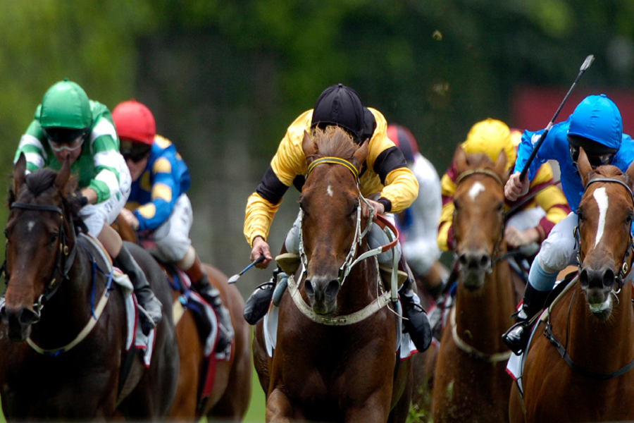 Sydney Harbour Melbourne Cup Lunch Cruise