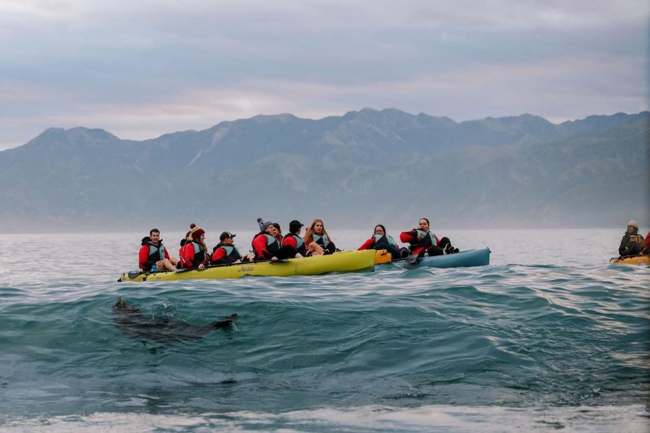 Seal Kayak & Stargazing Combo