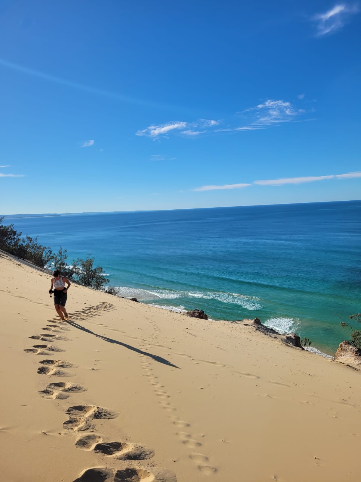4WD Beach Adventure & Scenic Walks (Half Day)