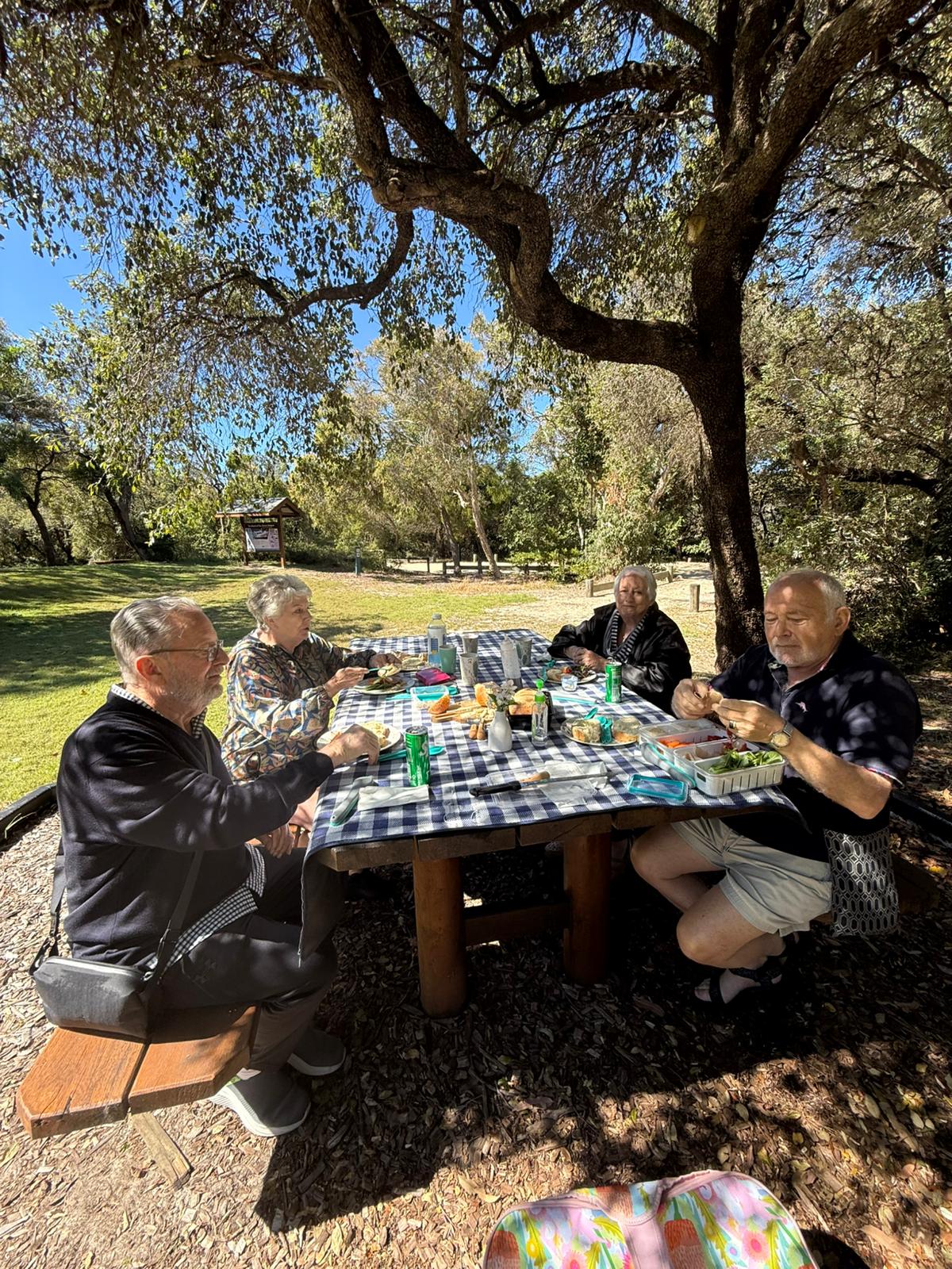 4WD Beach Adventure & Scenic Walks (Half Day)