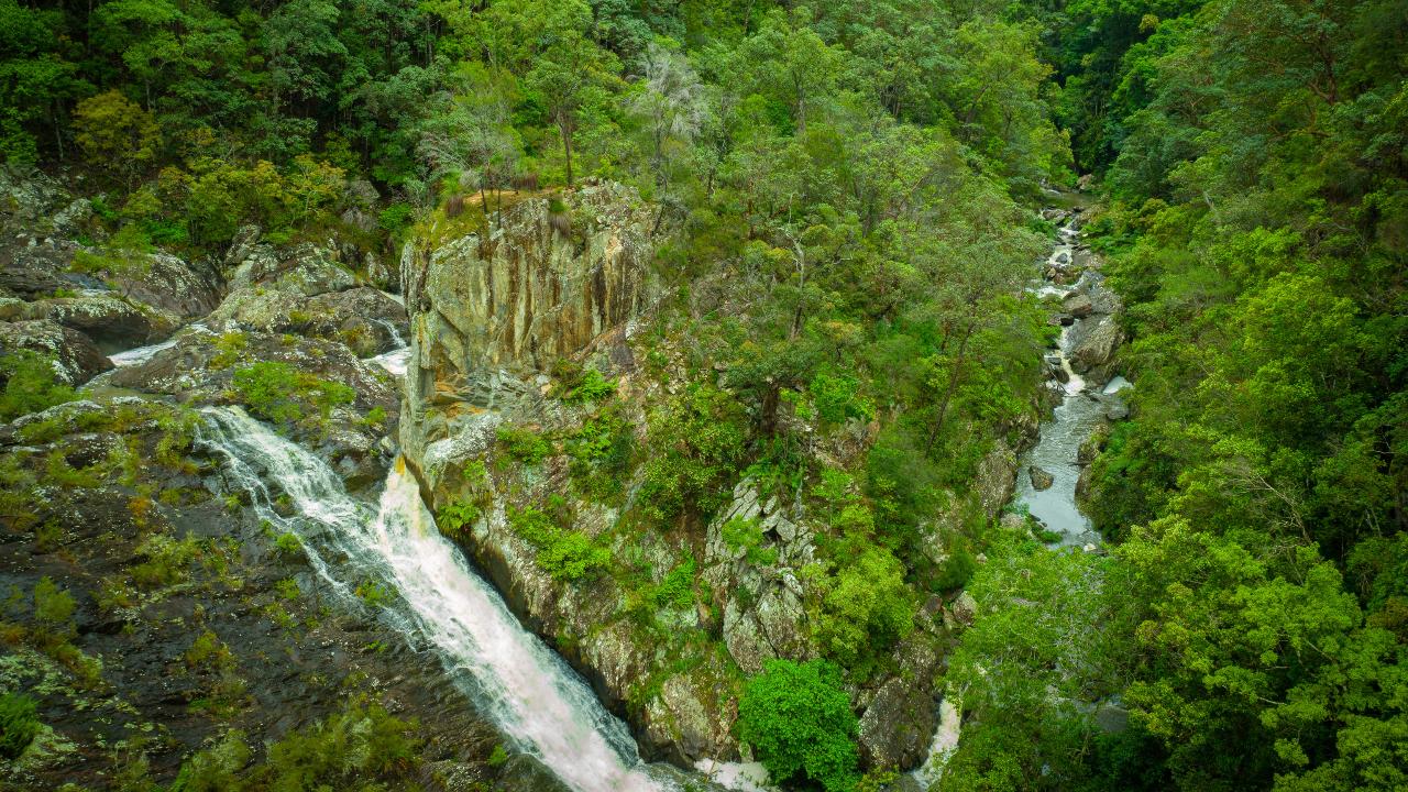 Conondale National Park Adventure 