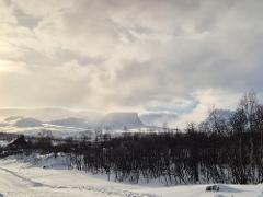 Daytime trip to Abisko