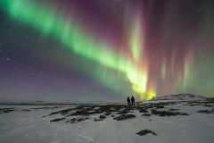 Arctic Dinner and Northern Lighs Snowshoe Walk