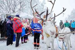From Kiruna: Jokkmokk Winter Market & Sámi National Day