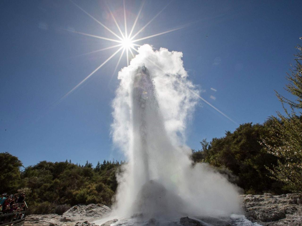 Tauranga Harbour & Paddle (3 days / 2 nights)