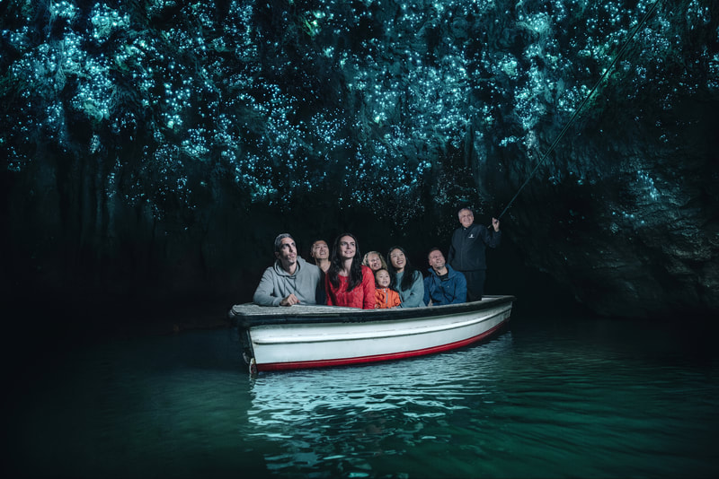 Waitomo Caves Tour