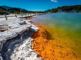 Wai-O-Tapu Tour