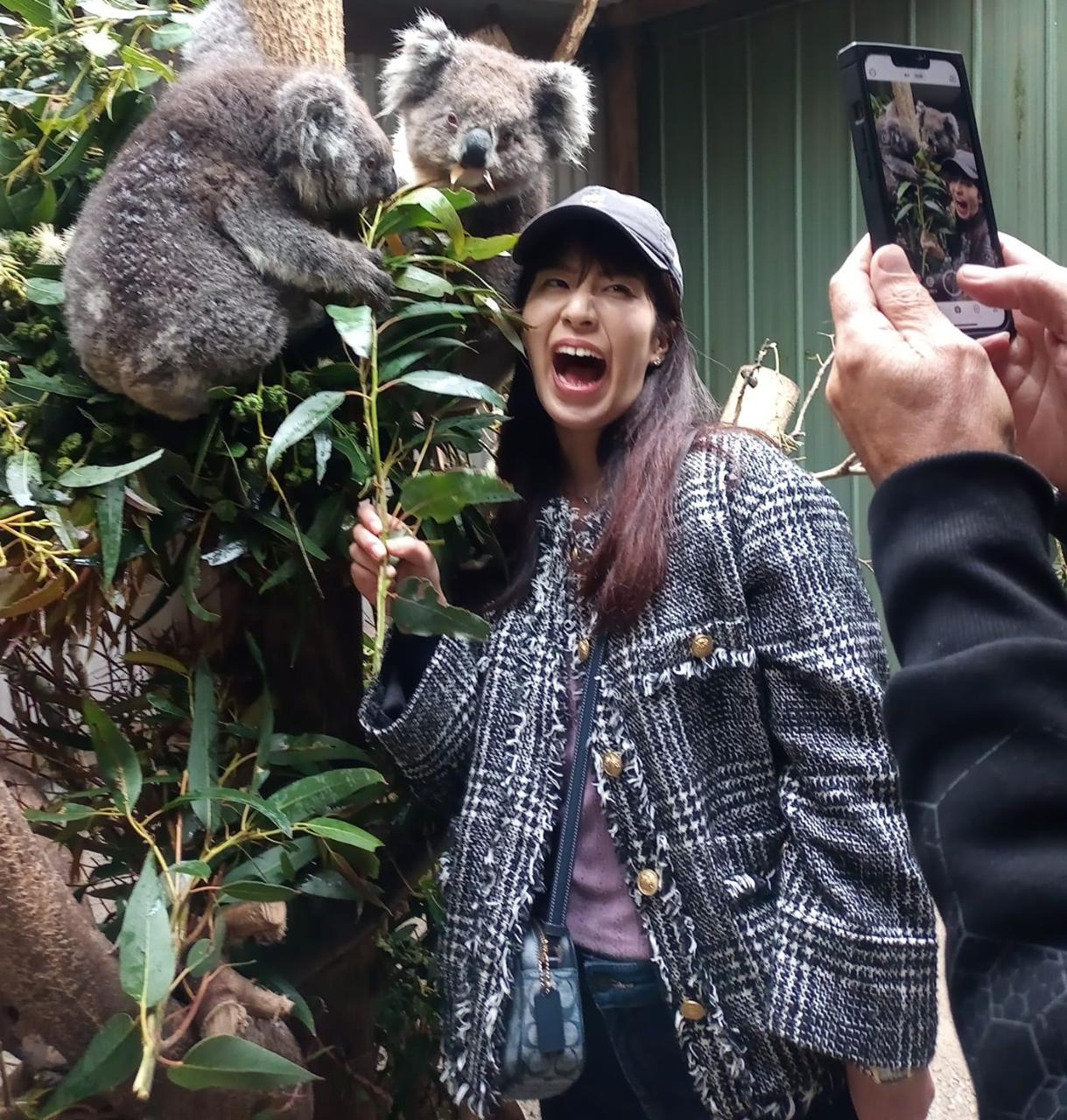 Koala Experience