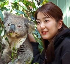 Koala Photo Experience