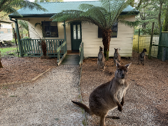 Australian Wildlife Stay (Wombat Cottage)