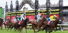 Melbourne Cup Luncheon Rouse Hill - Tuesday 5th November 2024  Nowra via Albion Park / Southern Highlands Transfers 