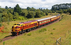 Christmas in July - Cockatoo Run Steam Train - 18th July 2027