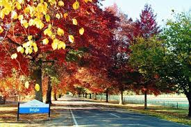 Autumn Festival in Bright - 4th May 2018