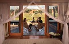 Dubbo / Zoofari - Monday 19th October - Friday 23rd October 2026