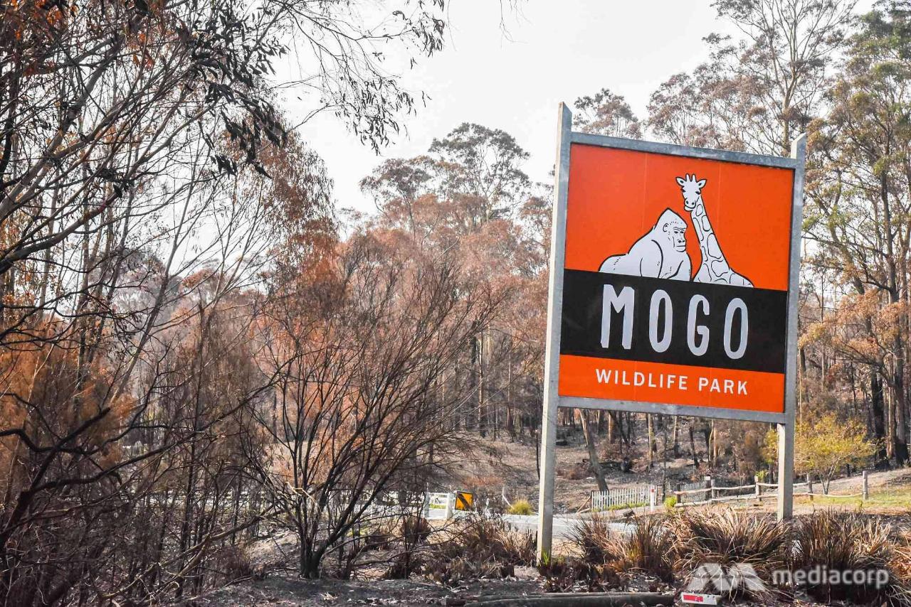 Mogo Zoo - Supporting our Fire Affected Areas - Tuesday 8th September 2020 Southern Highlands via Nowra