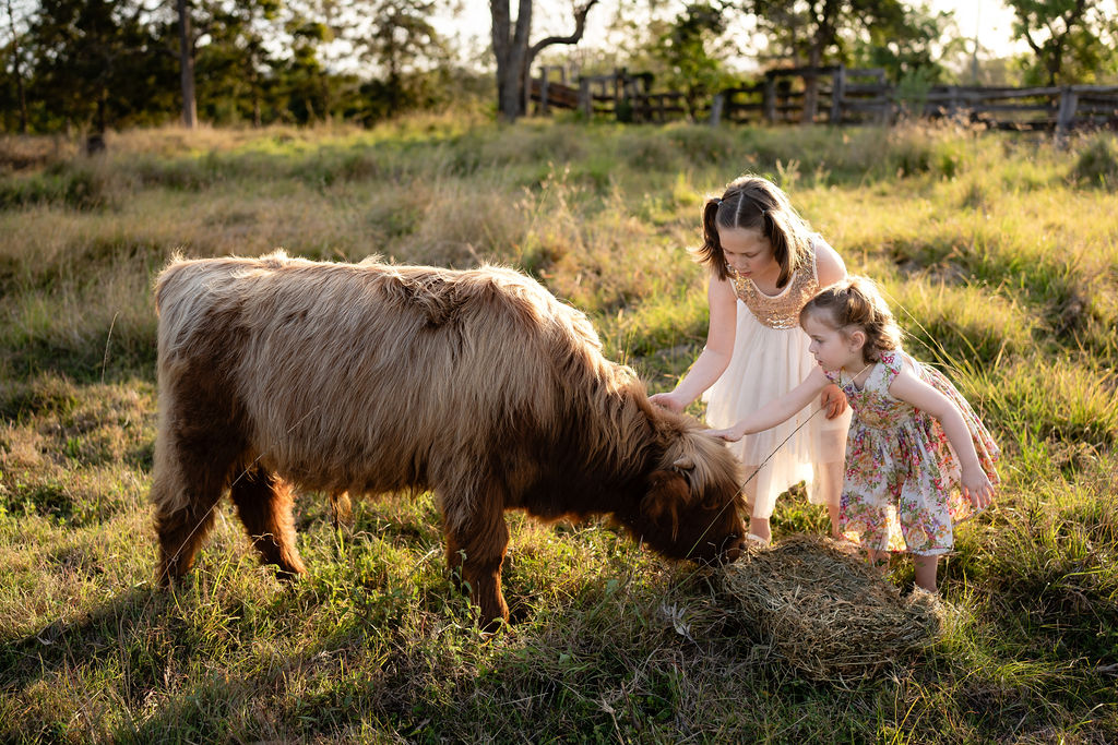 Highland Hideaway Farm Tour