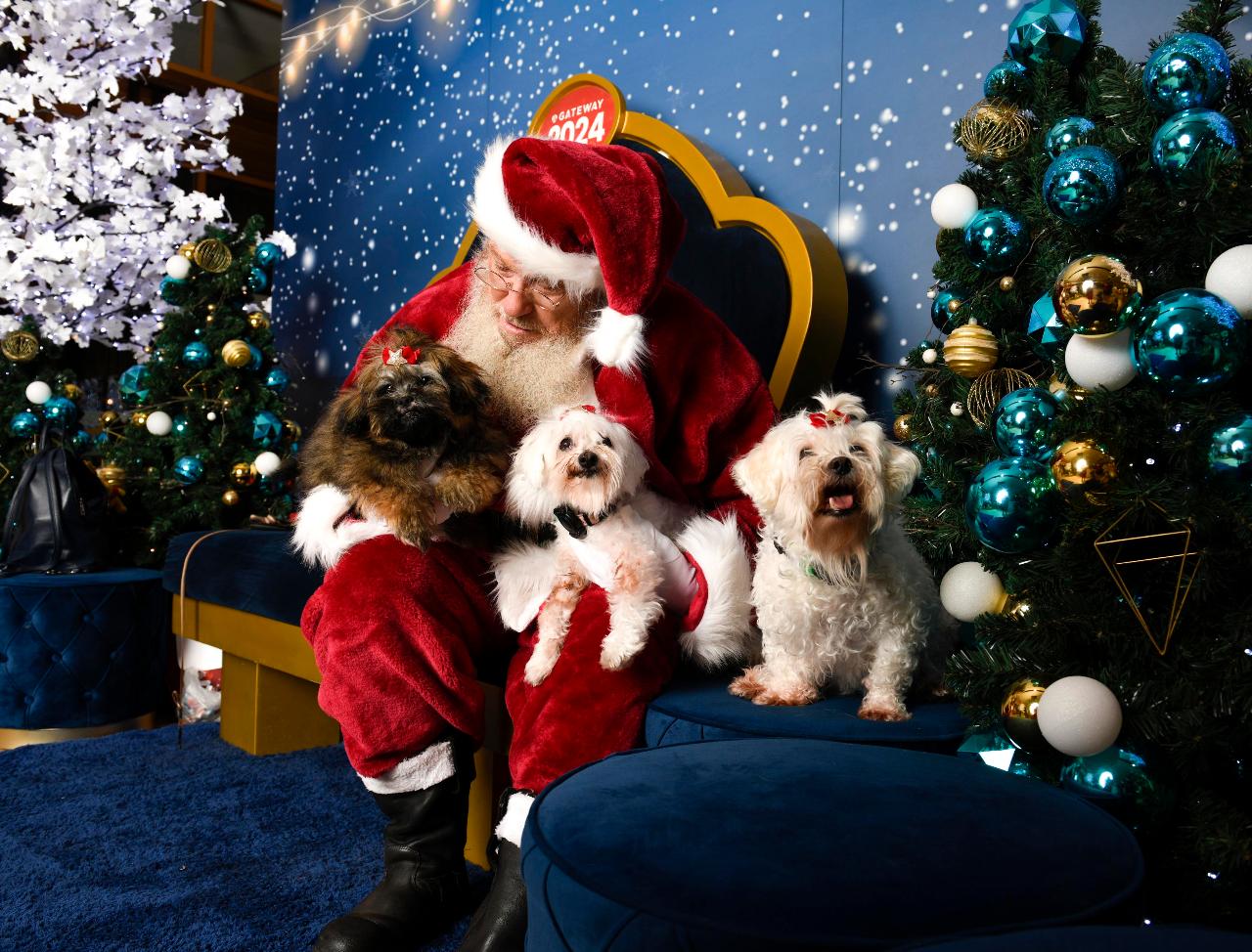 Gateway Santa Pet Photo USB Package