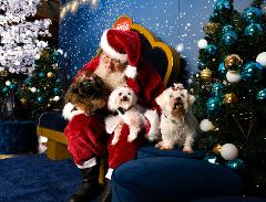 Gateway Santa Pet Photo USB Package