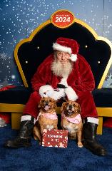 Gateway Santa Pet Photo Airdrop Package