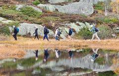 Private Alpine Hikes, Extended Pickup Region (Zurich, Bern, Interlaken)