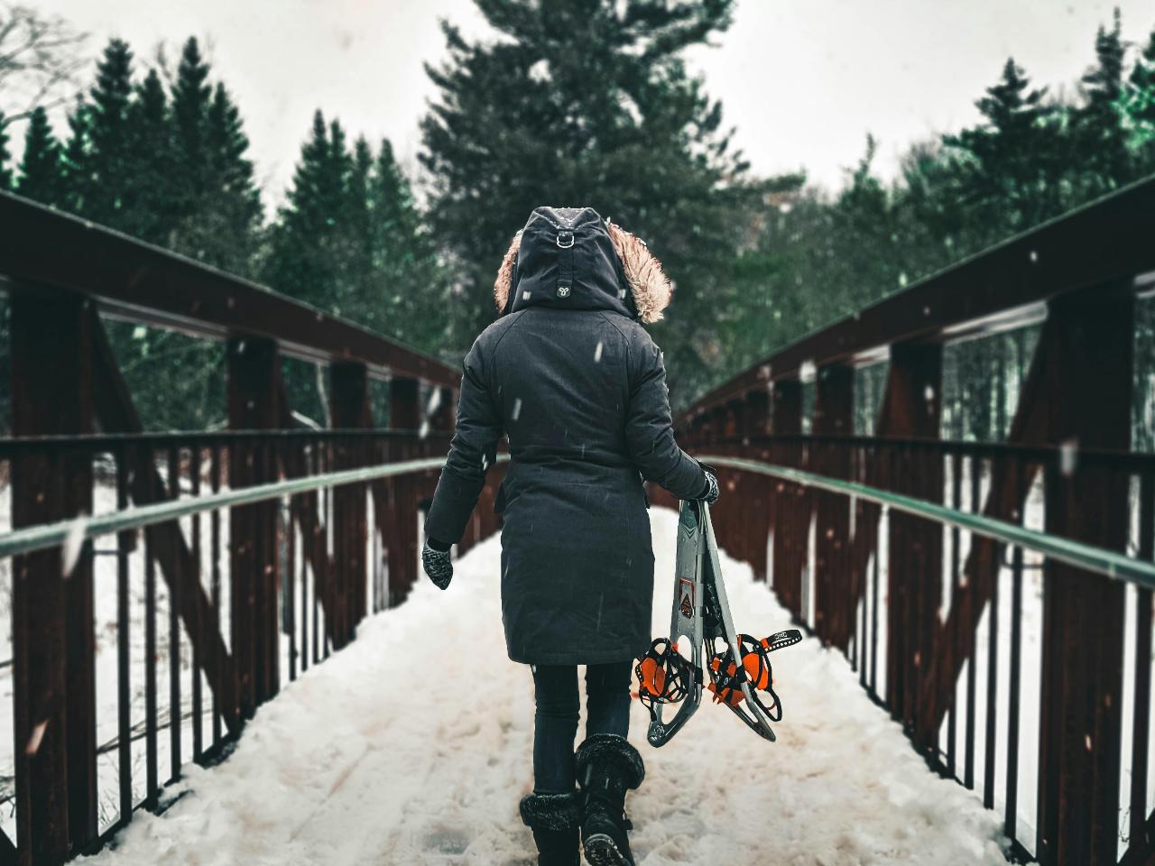 Snowshoe Hiking Day from Lucerne