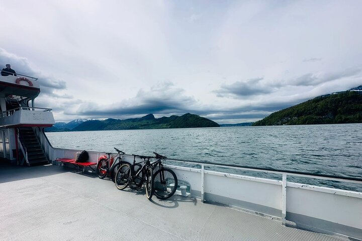 Private Lake Lucerne Cruise & Cycling Tour — E-Bike