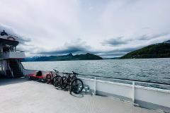 E-Bike Scenic Bike Tour with Lucerne Lake Cruise Adventure
