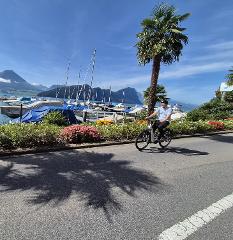 E-Bike Explore Lucerne’s Hidden Gems Sunset City Cycling Tour