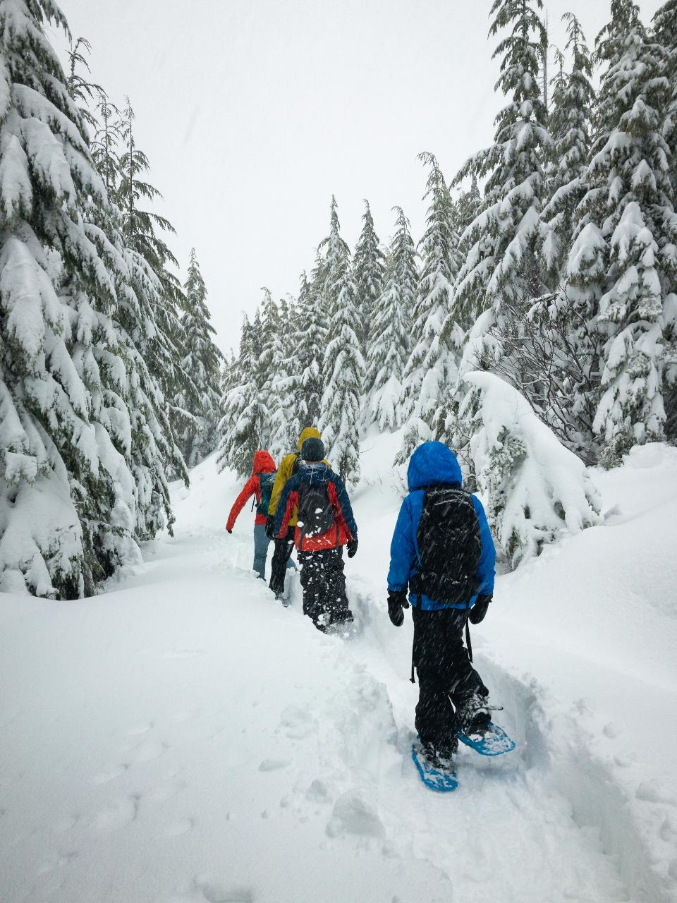 Snowshoe Hiking Day from Lucerne