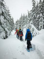 Snowshoe Hiking Day from Lucerne