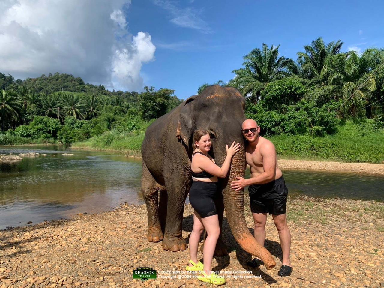Elephants Bathing & Mud Spa