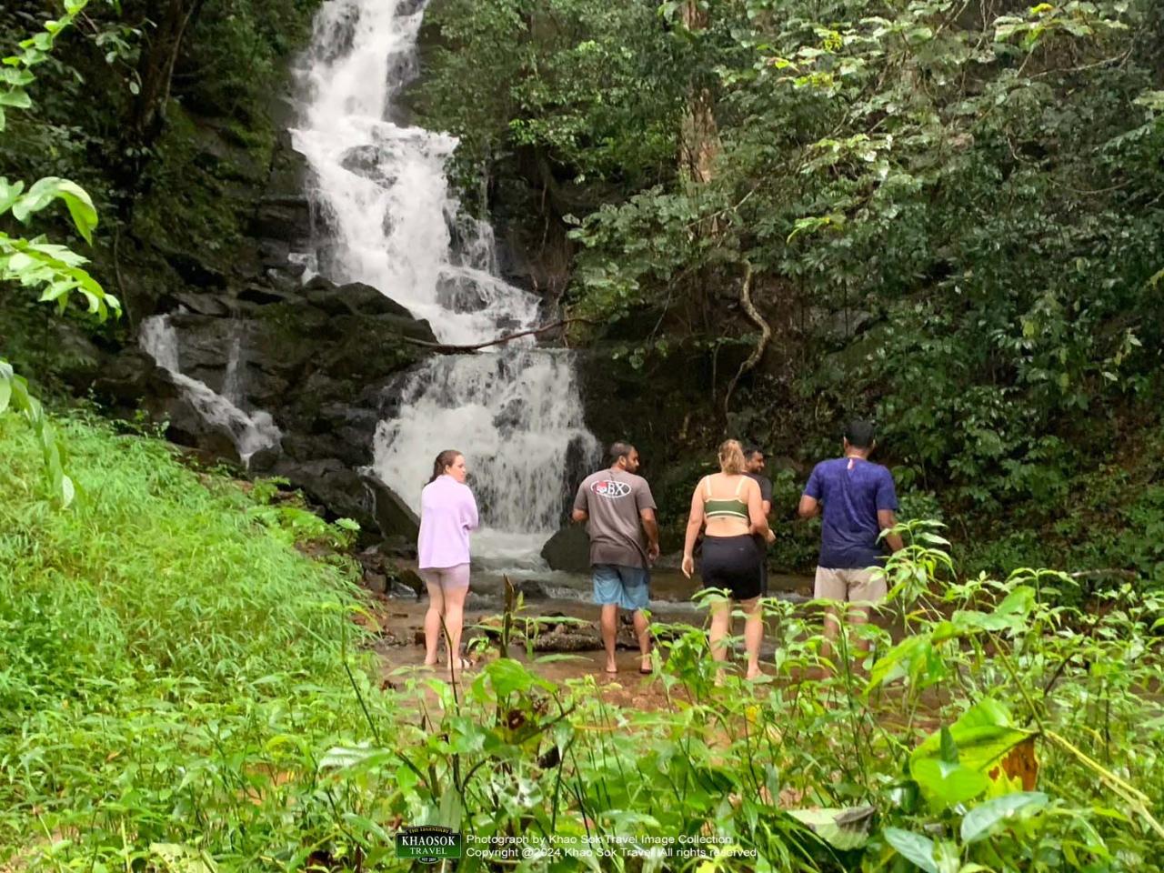 Full-Day Jungle Trekking Program in Khao Sok National Park