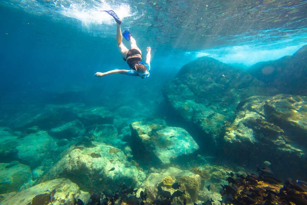 (Khao Lak) Similan Islands Snorkeling Day Trip