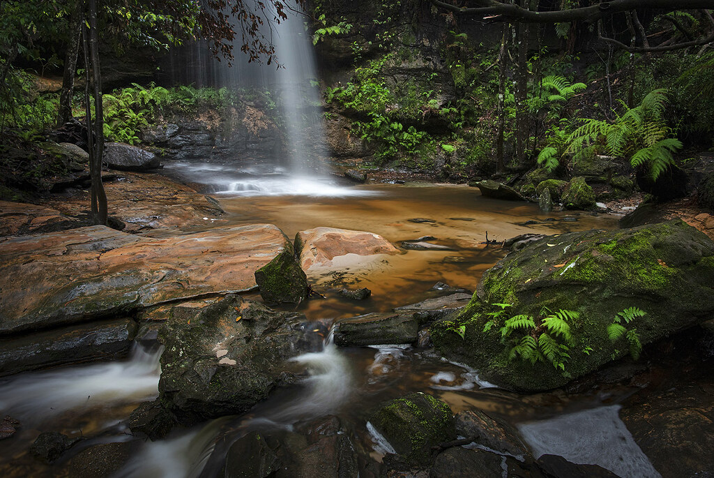 Corporate Mountains Recharge Micro Adventure -Located in the Blue Mountains 55mins from Sydney