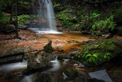 Corporate Mountains Recharge Micro Adventure -Located in the Blue Mountains 55mins from Sydney