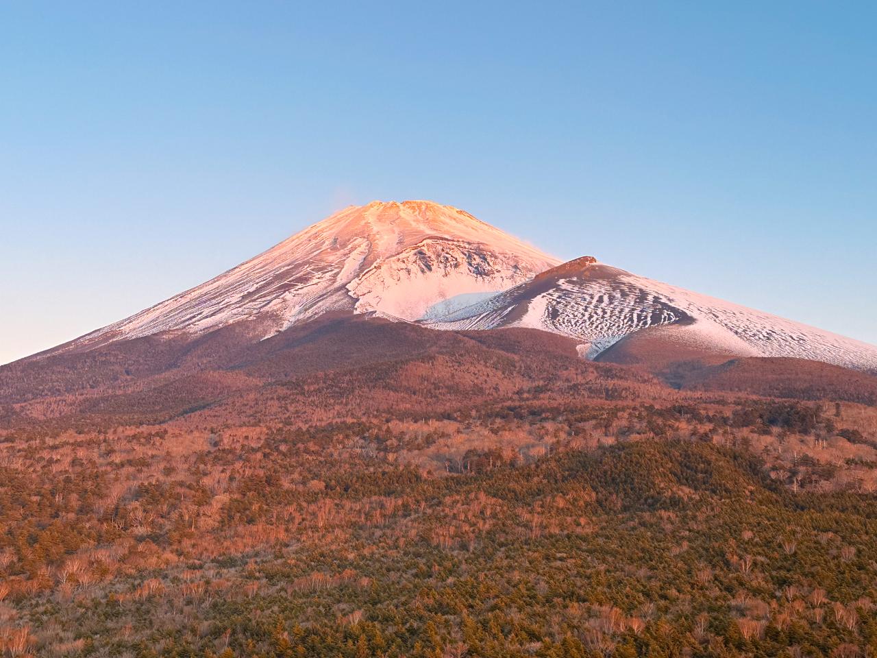 FUJI SUNRISE WALK | 富士サンライズウォーク