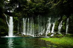FUJI AREA TOUR: 3 SCENIC SPOTS | 白糸の滝・田貫湖・腰切塚を巡るツアー